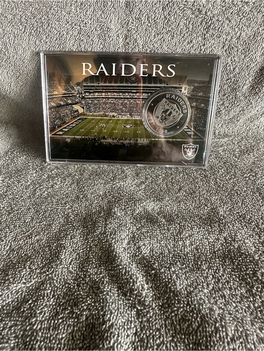 Raiders by Lee Silver Coin Stadium Display - Official NFL Home Accents